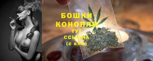 хмурый Медногорск