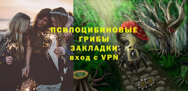 ПСИЛОЦИБИНОВЫЕ ГРИБЫ Медвежьегорск