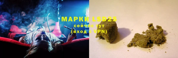 ПСИЛОЦИБИНОВЫЕ ГРИБЫ Медвежьегорск
