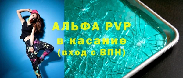 ПСИЛОЦИБИНОВЫЕ ГРИБЫ Медвежьегорск