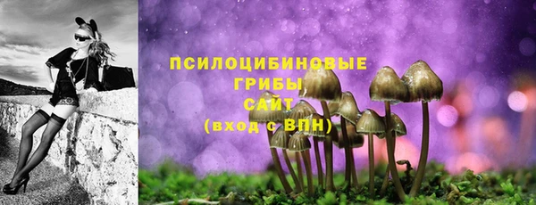 МДМА Мегион