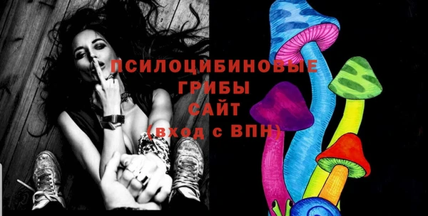 ПСИЛОЦИБИНОВЫЕ ГРИБЫ Медвежьегорск