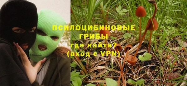 хмурый Медногорск