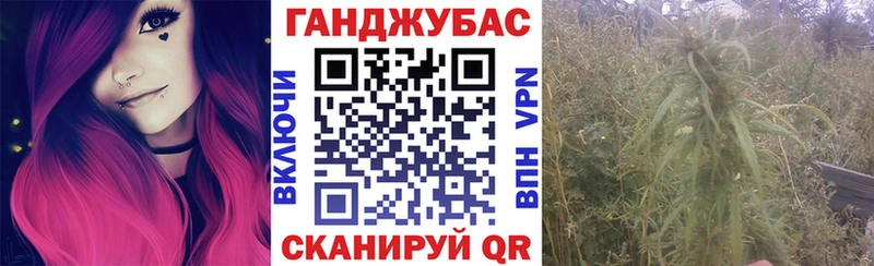 где найти наркотики  Вологда  Марихуана гибрид 